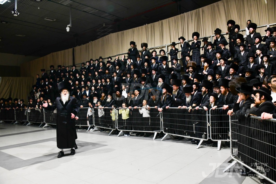 שמחת החתונה פון אן אייניקל פון האדמו"ר ממאדזיץ