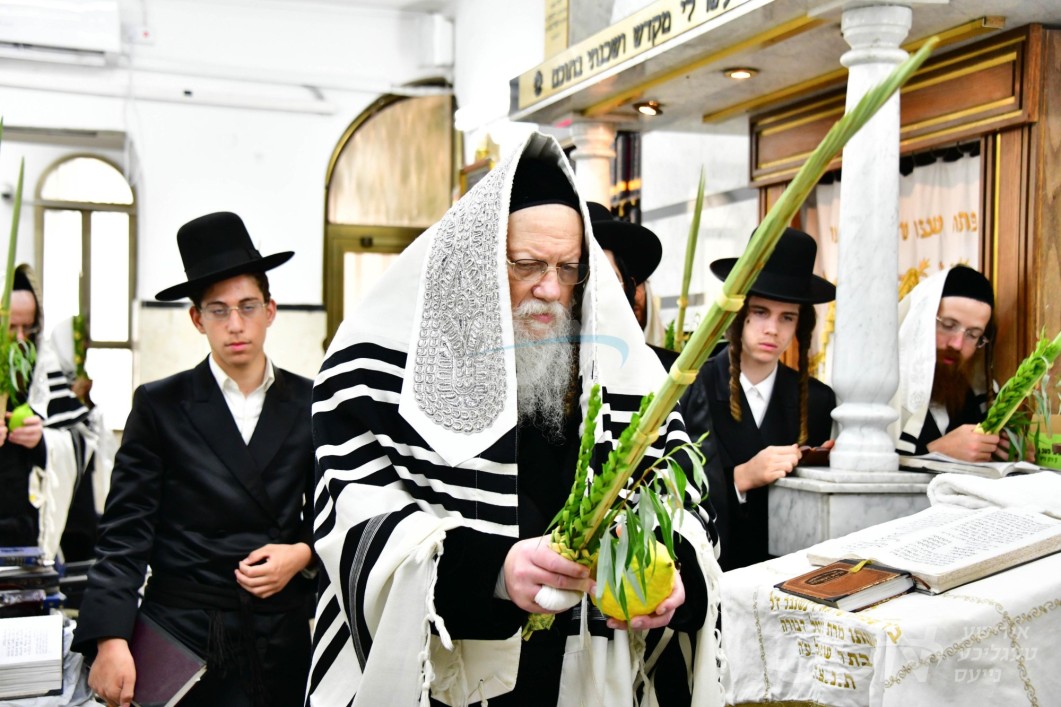 סוכות אין חצר הקודש מאדזיץ