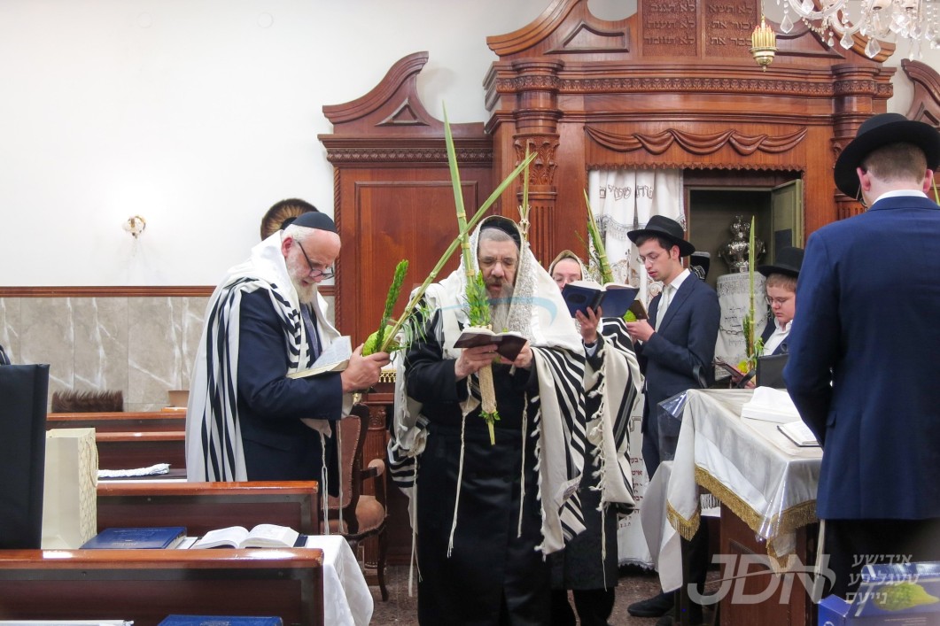 סוכות אין חצר הקודש טריסק