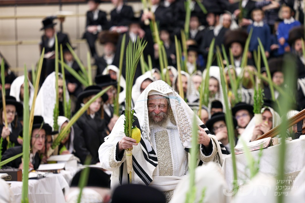 סוכות אין חצר הקודש יאוואזשנא