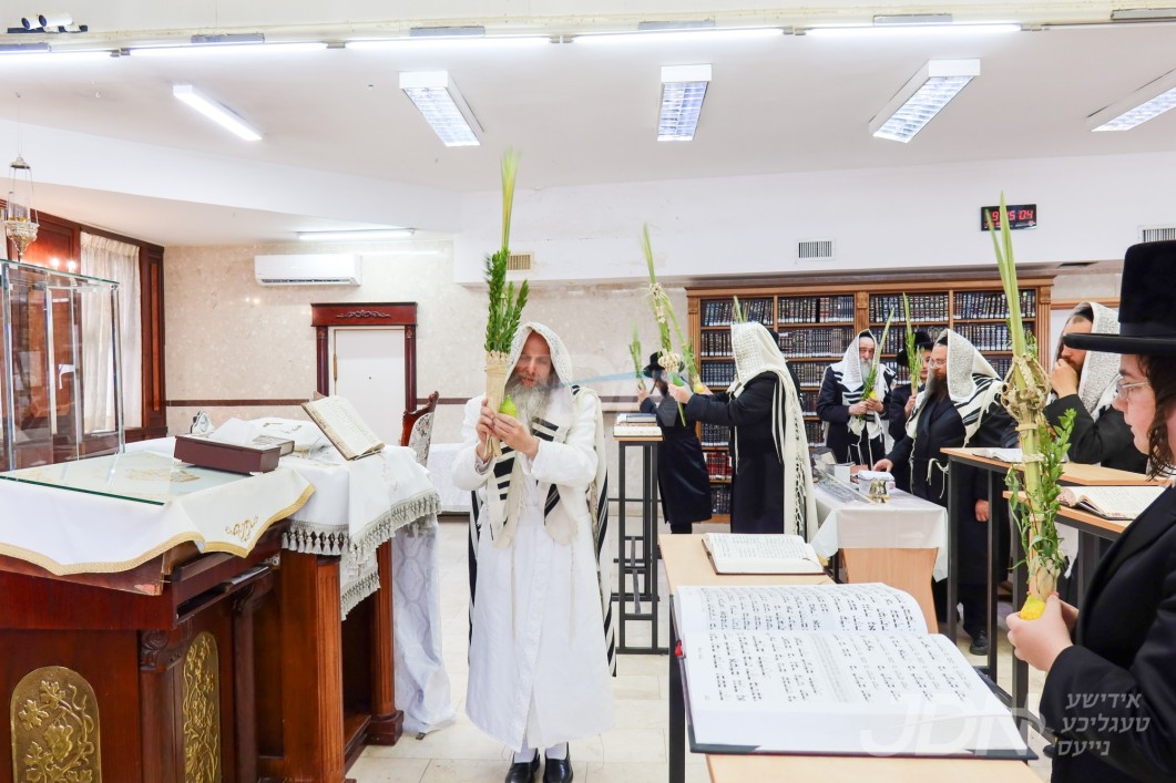 סוכות אין חצר הקודש אונגוואר