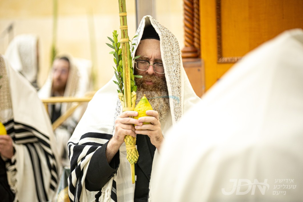 סוכות ביי הגה"צ אבד"ק אמונת ישראל