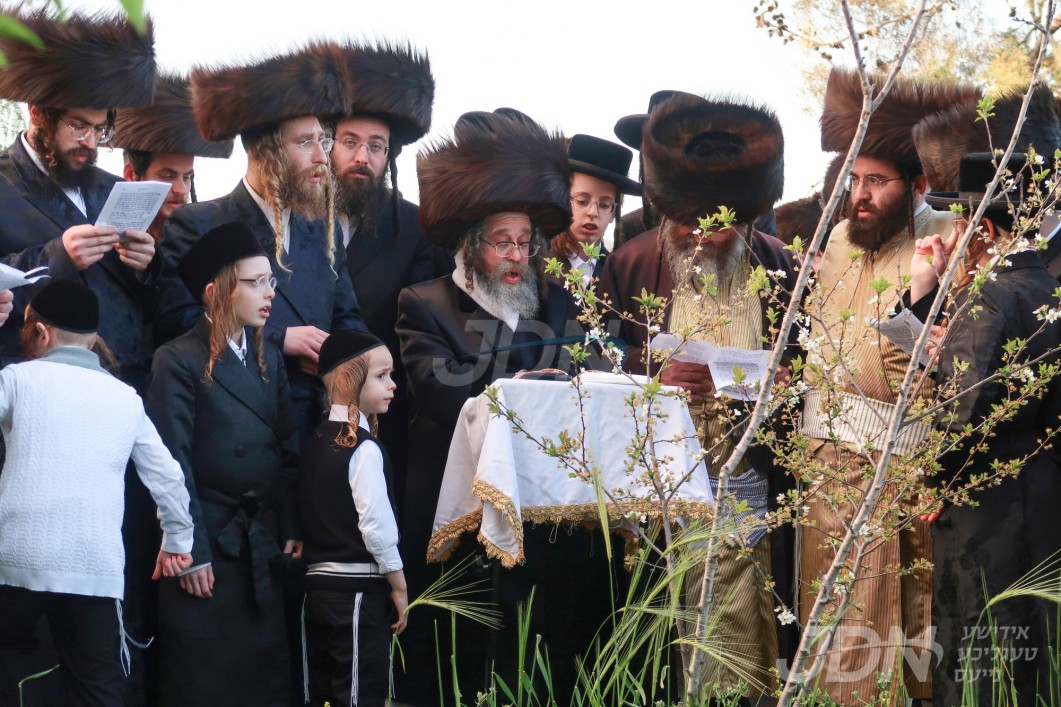 פסח אין חצר הקודש קרעטשניף סיגעט