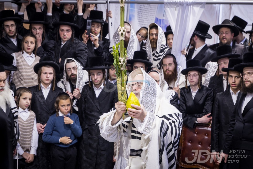 סוכות אין חצר הקודש צאנז קלויזענבורג