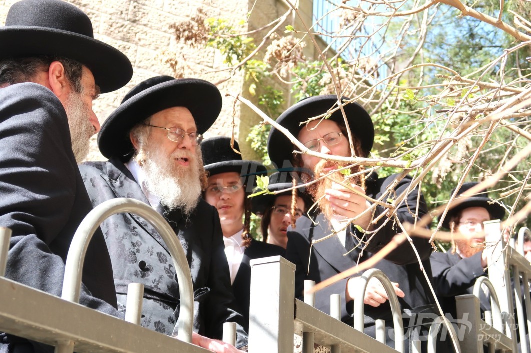 האדמו"ר מקאמארנא ביי ברכת אילנות