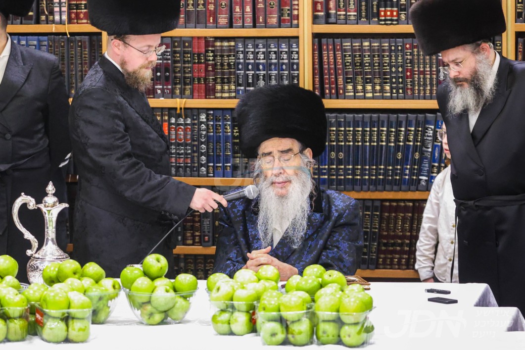 פסח אין חצר הקודש אלכסנדר