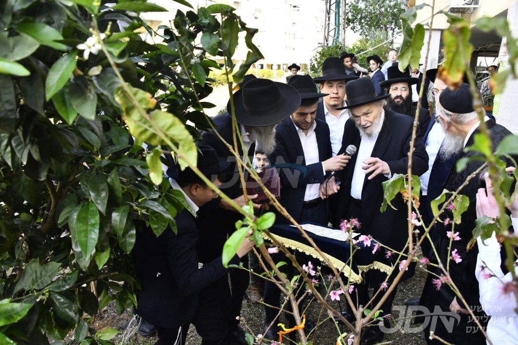 הגרמ"ה הירש ר"י סלבודקה ביי ברכת אילנות