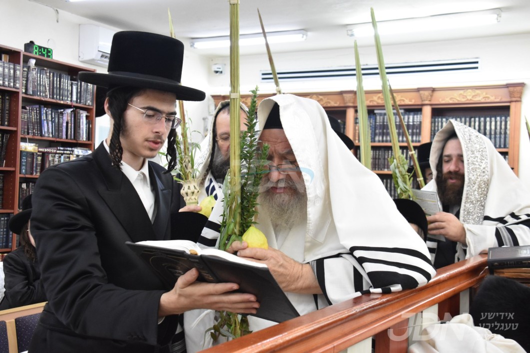 סוכות אין חצר הקודש אשלאג