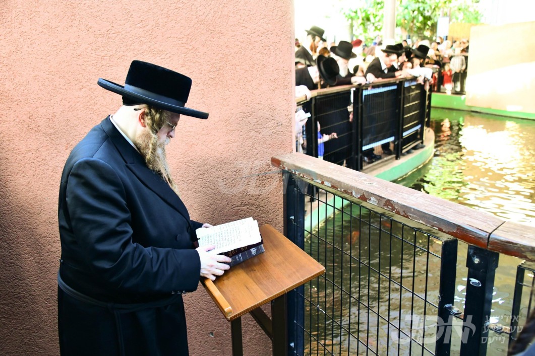 האדמו"ר משומרי אמונים ב"ב ביי תשליך
