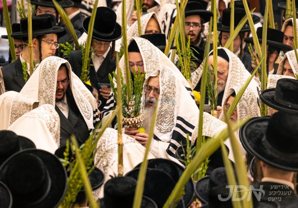 סוכות אין חצר הקודש טאהש