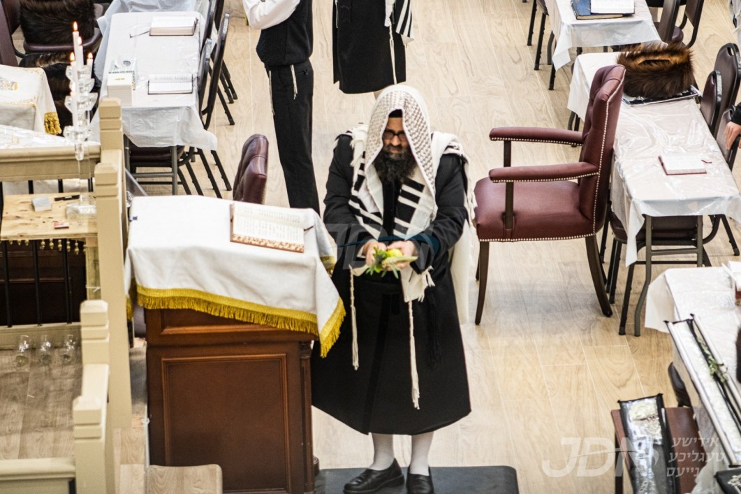 סוכות ביי הגה"צ אבד"ק קרית יטב לב