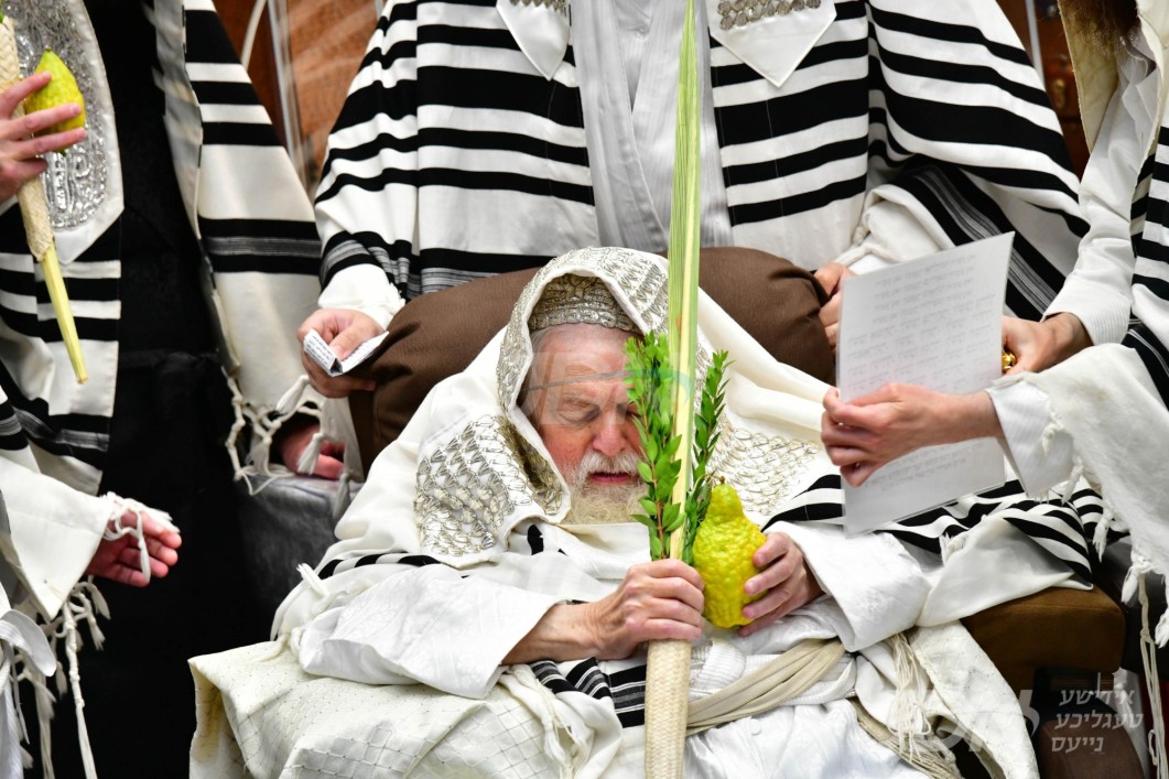 סוכות אין חצר הקודש תולדות אברהם יצחק