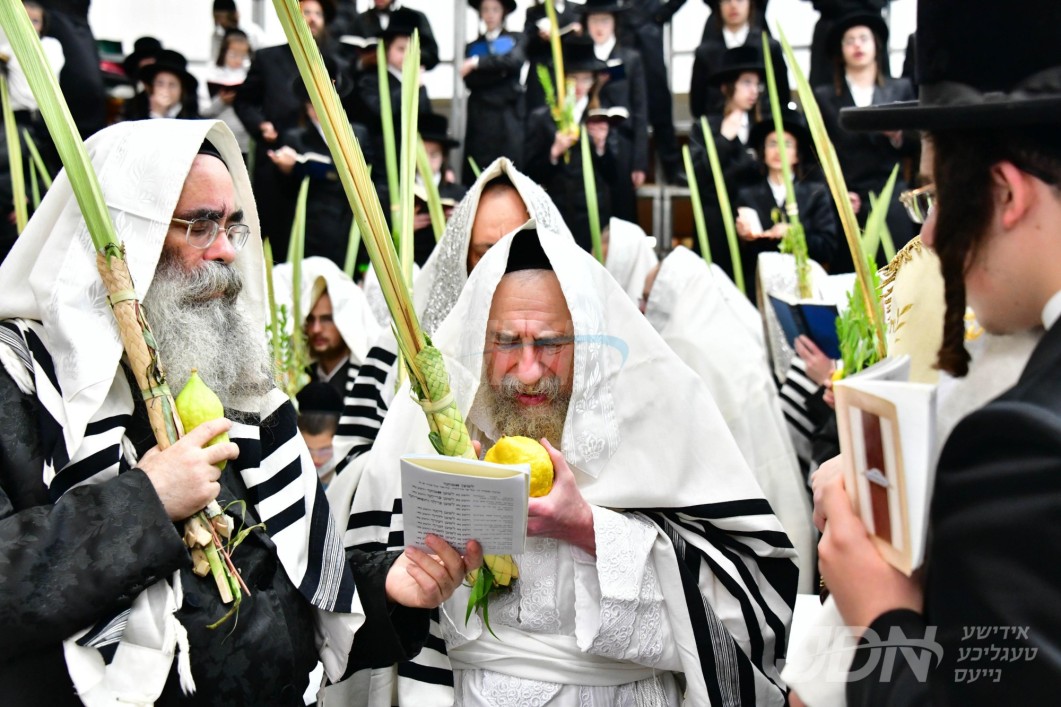 סוכות אין חצר הקודש ראחמיסטריווקא