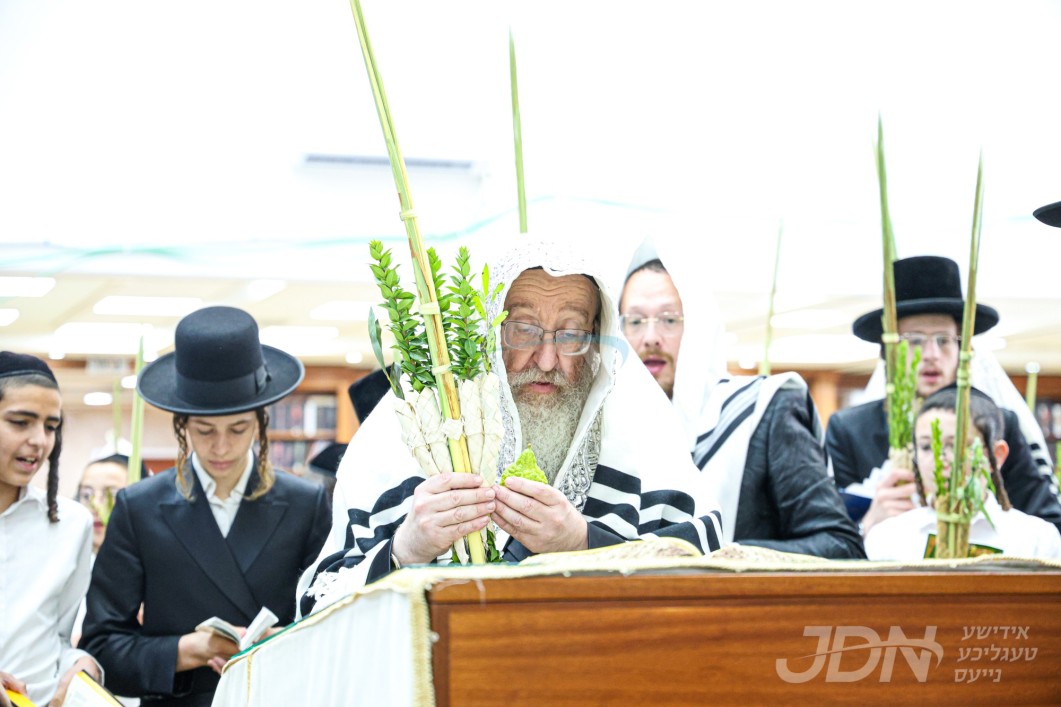 סוכות אין חצר הקודש ביאלא
