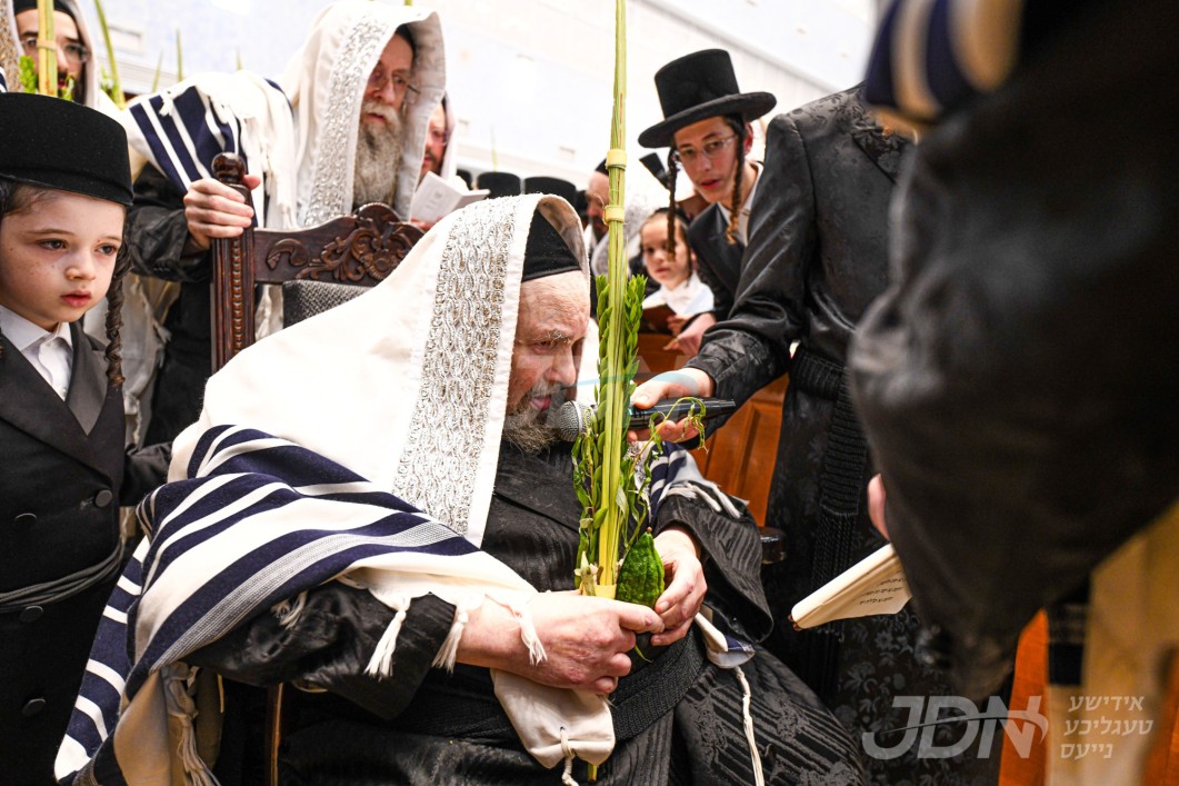 סוכות אין חצר הקודש בעלזא