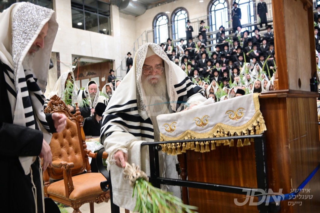 סוכות אין חצר הקודש דאראג