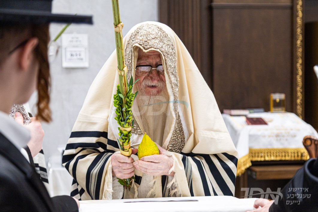 סוכות אין חצר הקודש נדבורנה