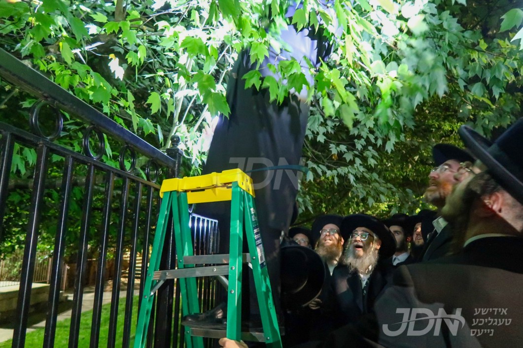 האדמו"ר מסאטמאר ביים מקיים זיין מצות שילוח הקן פארענט פון ביתו נאוה קודש אין קרית יואל