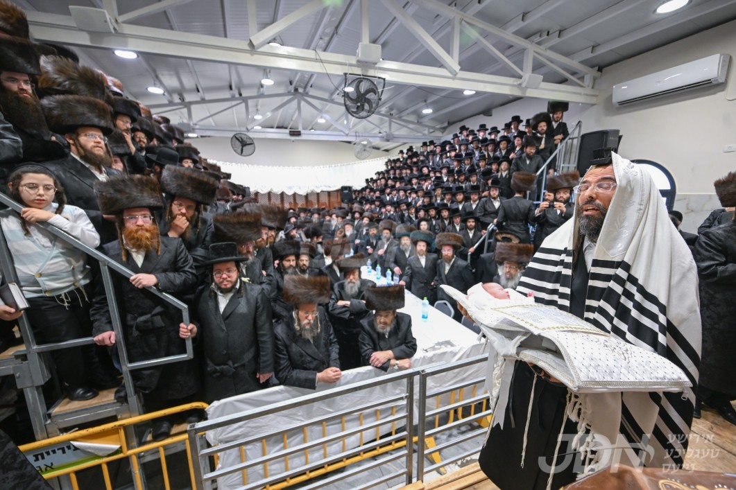שמחת הוואך נאכט און ברית פון אן אייניקל פון האדמו"ר מזוועהיל