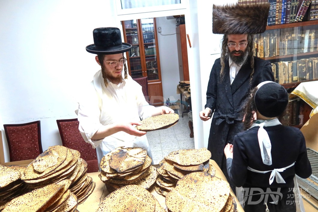 פסח אין חצר הקודש זוועהיל