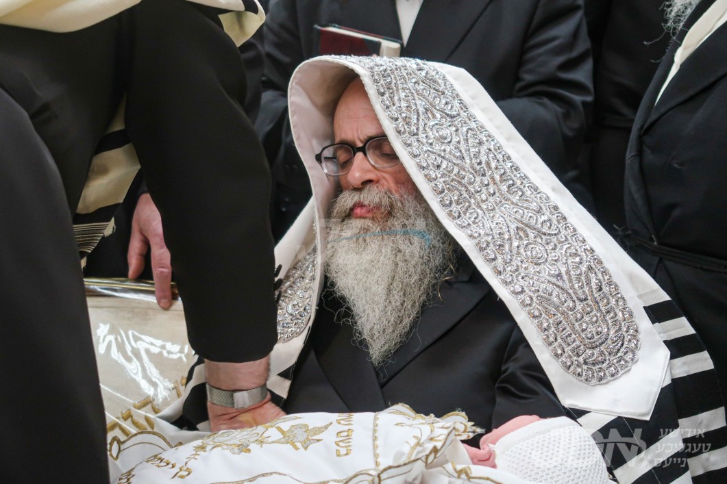 שמחת הברית פון אן אייניקל פון האדמו"ר מצאנז זוועהיל