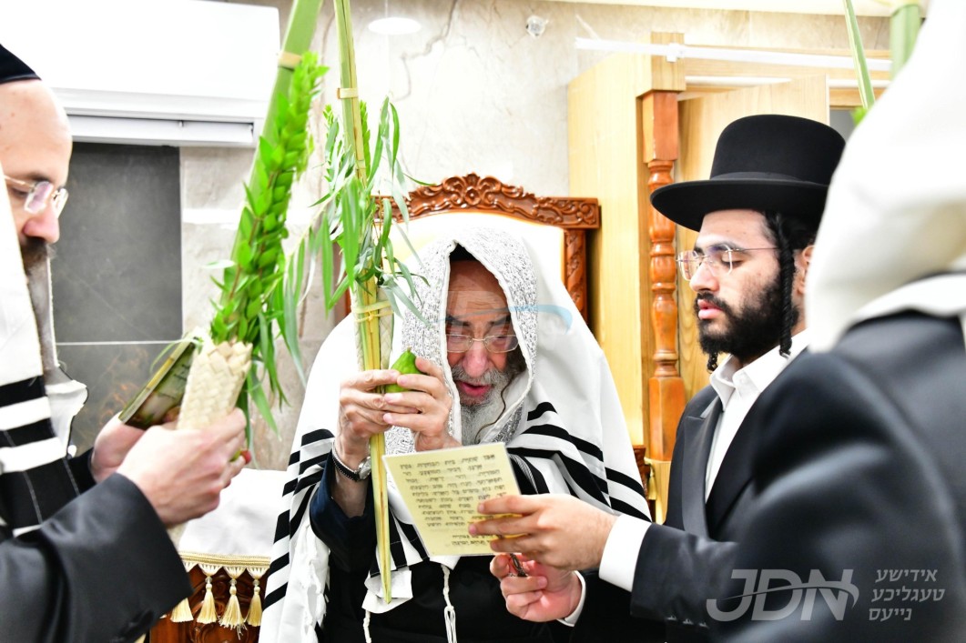 סוכות אין חצר הקודש אלכסנדר