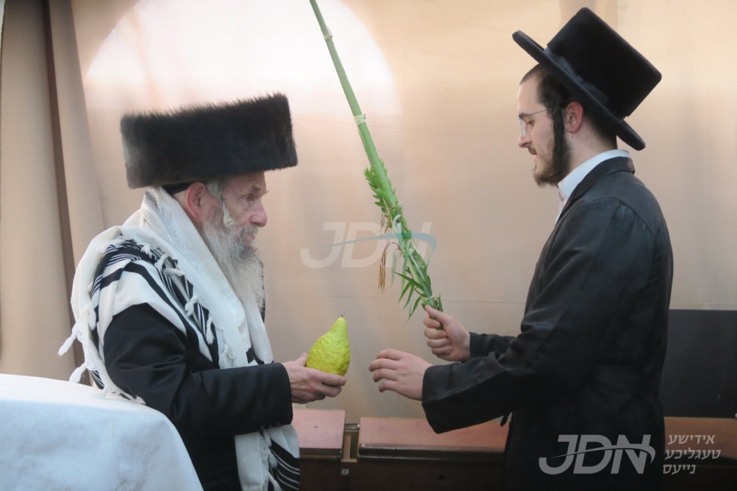 סוכות אין חצר הקודש סלאנים