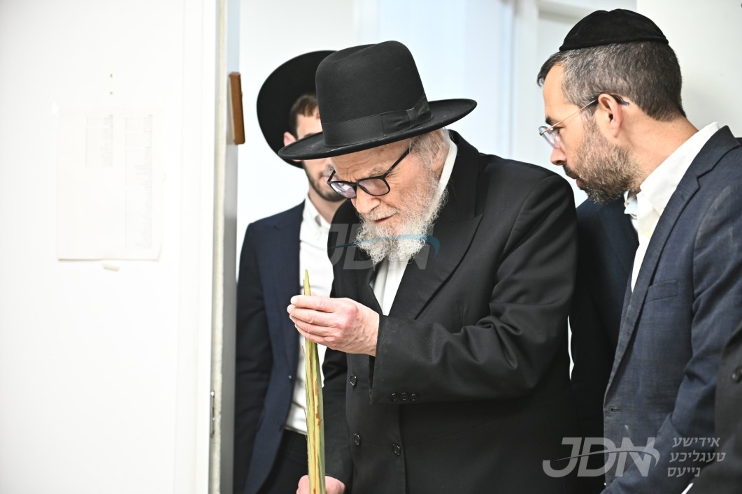 הגרמ"ה הירש ר"י סלבודקה ביים בודק זיין לולבים