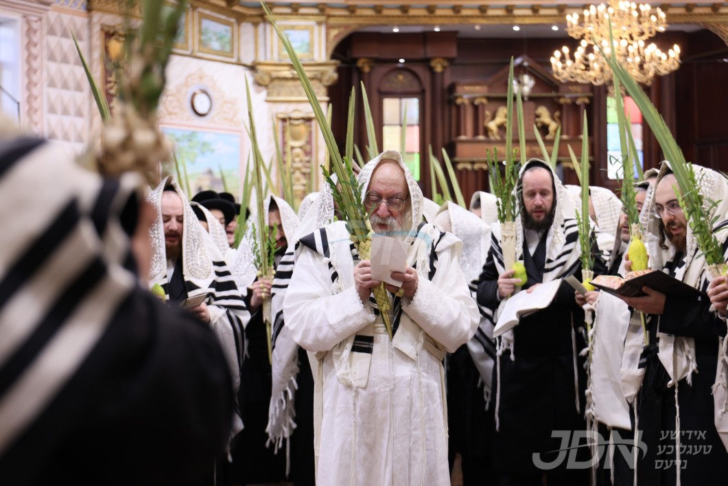 סוכות אין חצר הקודש וויען