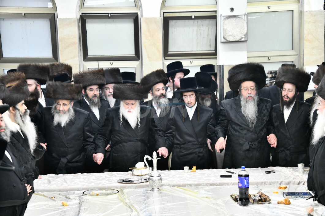 שמחת התנאים בבית שבט הלוי - מחנובקה בעלזא - גארליץ‎