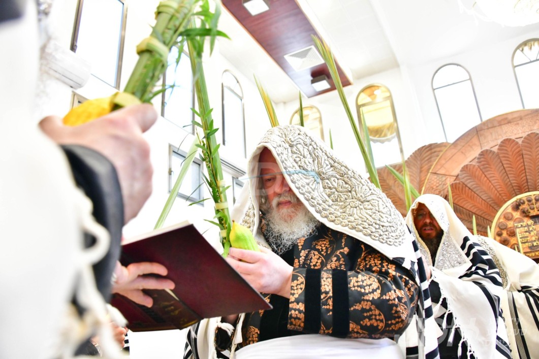 סוכות אין חצר הקודש פרימישלאן