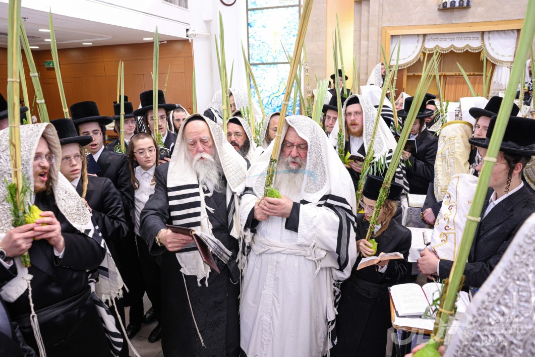 סוכות אין חצר הקודש נדבורנה