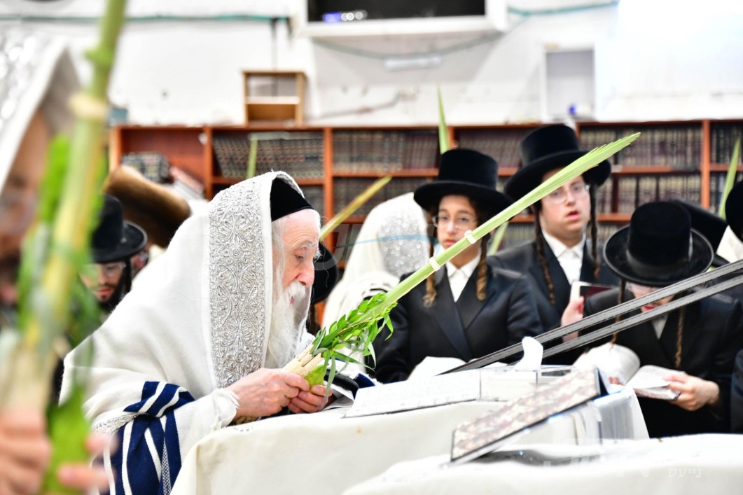 סוכות אין חצר הקודש מחנובקה בעלזא