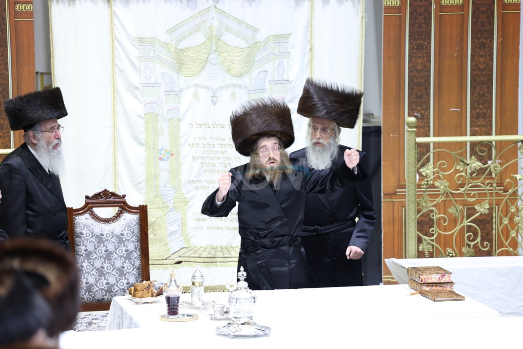 סוכות אין חצר הקודש סאדיגורה