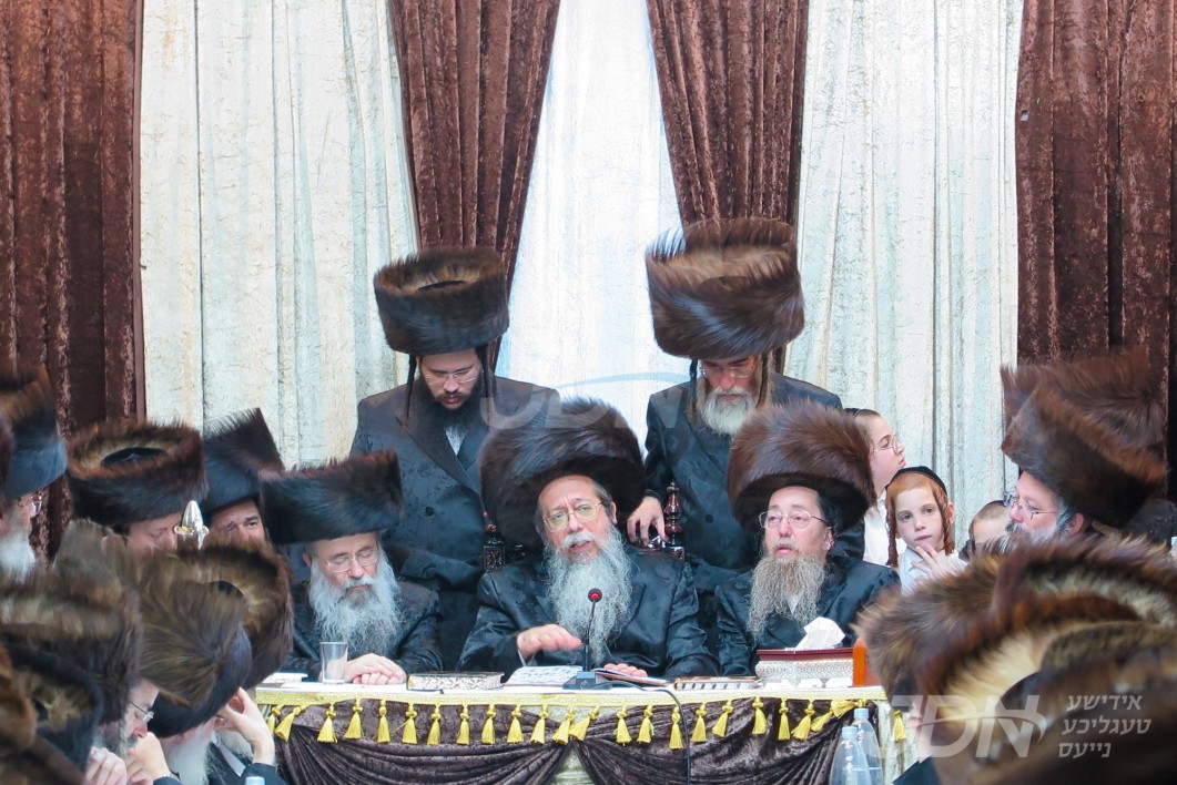סוכות אין חצר הקודש שבט הלוי
