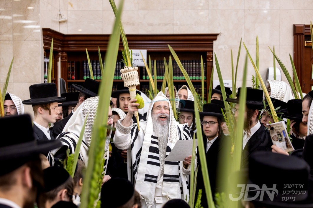 סוכות ביי גאב"ד סאטמאר מאנסי