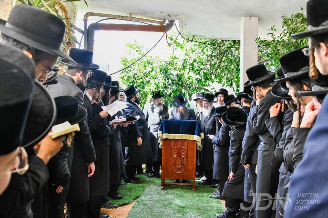 האדמו"ר מסאדיגורה ביי ברכת אילנות