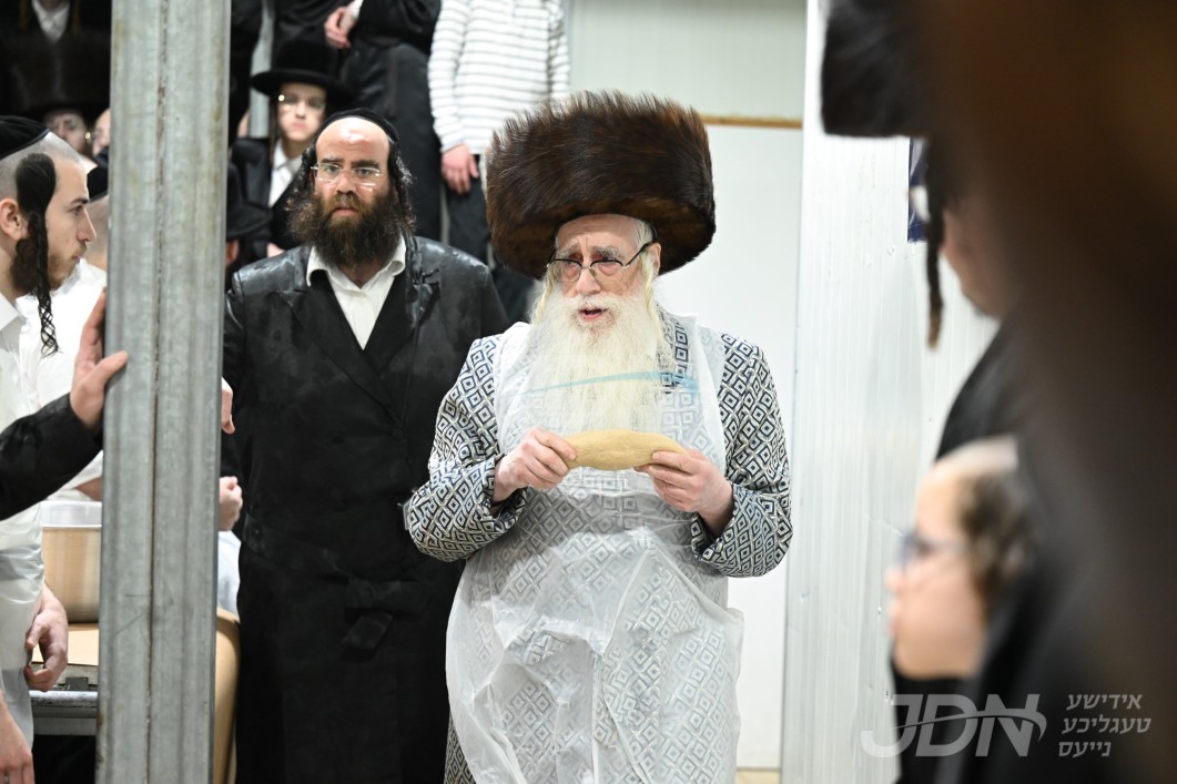 פסח אין חצר הקודש צאנז