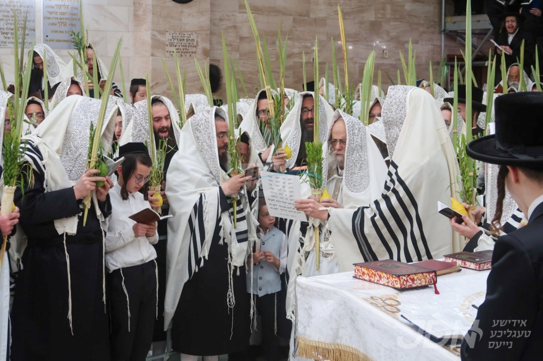 סוכות אין חצר הקודש סערט וויזניץ