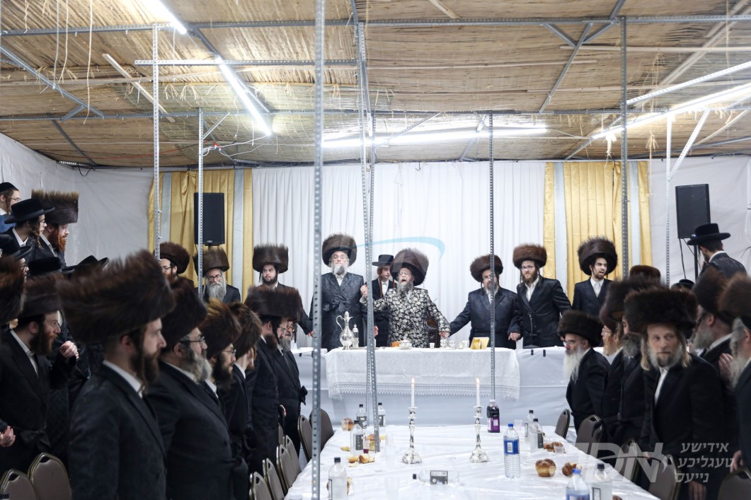 סוכות אין חצר הקודש קרעטשניף סיגעט וויליאמסבורג