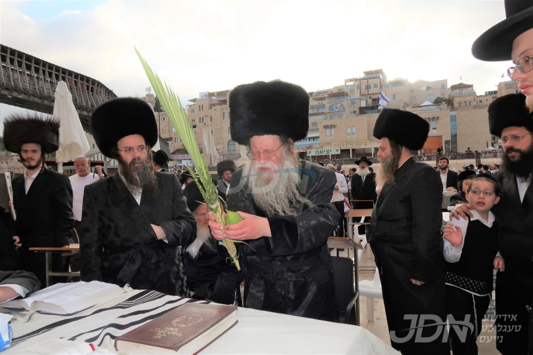 סוכות אין חצר הקודש קאזמיר