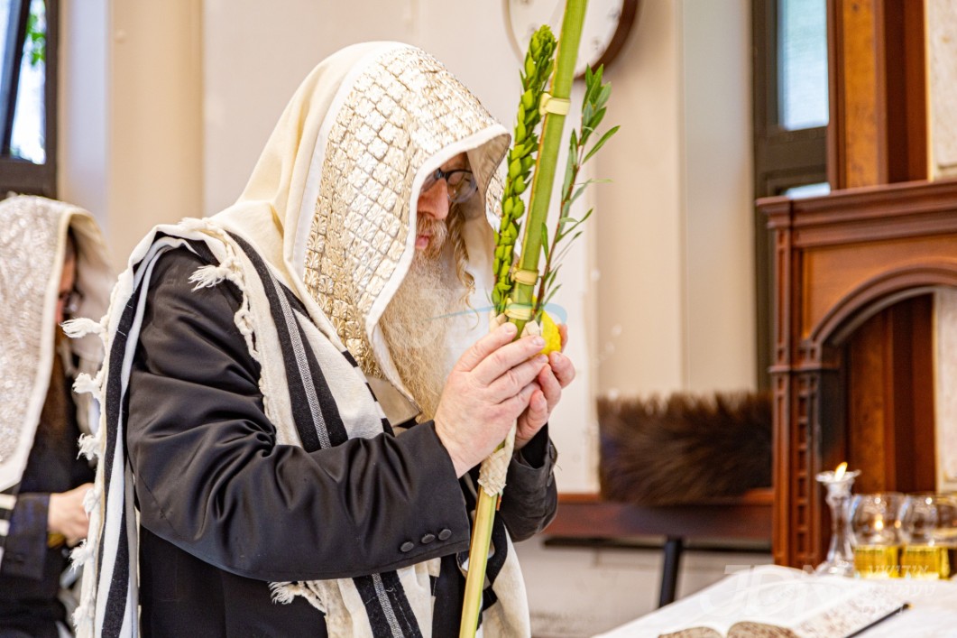סוכות אין חצר הקודש בלאזוב ריבאטיטש