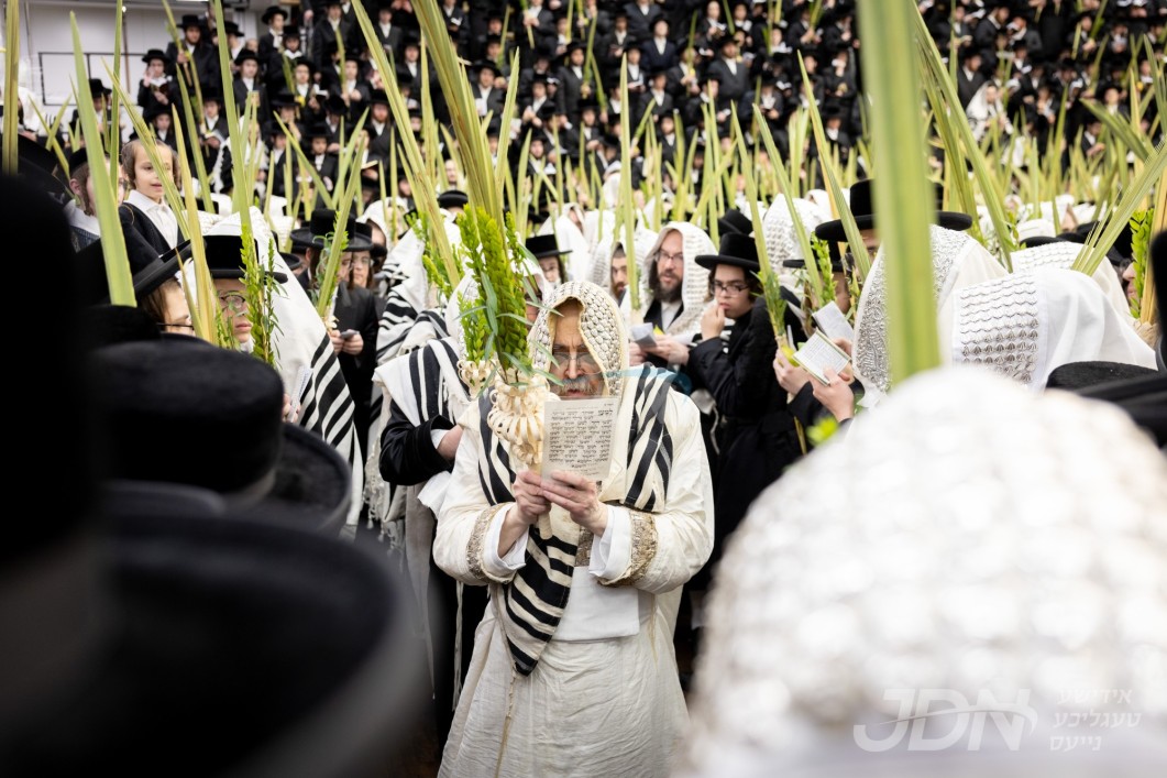 סוכות אין חצר הקודש סאטמאר