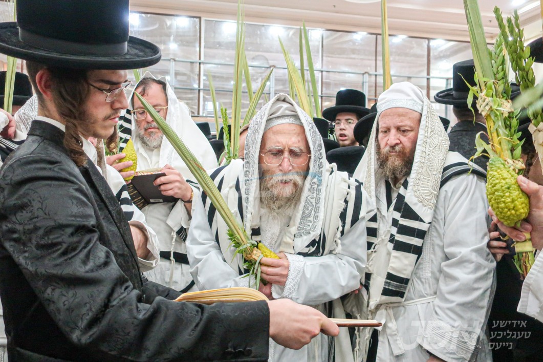 סוכות אין חצר הקודש ערלוי