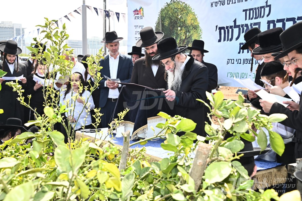 גדולי ישראל ביי מעמד ברכת אילנות אינעם פארק אין צפון בני ברק