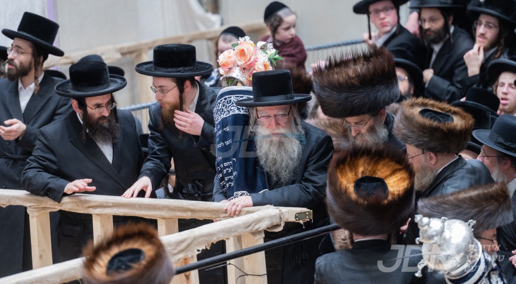 הכנסת ספר תורה צו ביהמ"ד הגדול פשעווארסק אין אנטווערפן