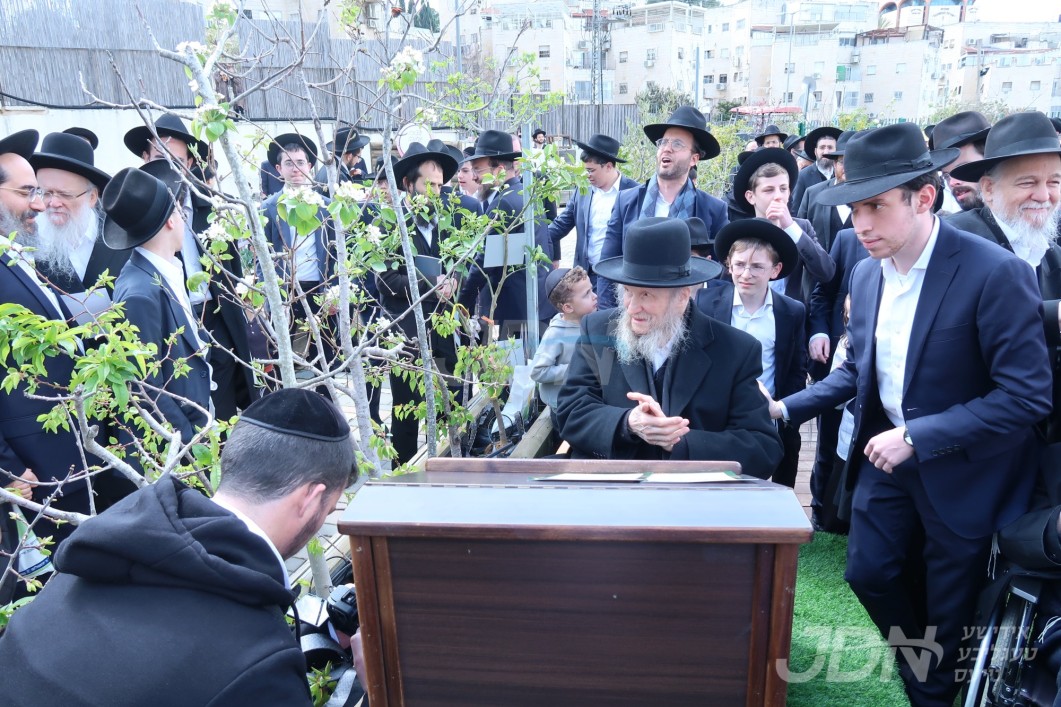 הגאון רבי דן סגל ביי ברכת אילנות