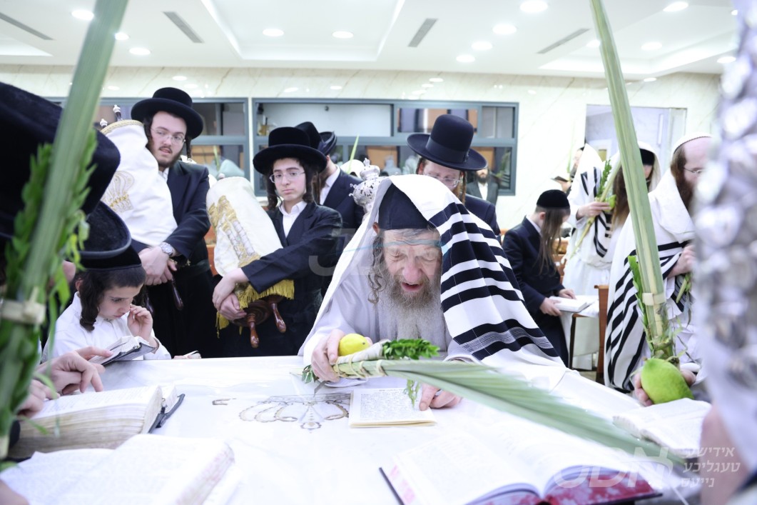 סוכות אין חצר הקודש לעלוב ניקלשבורג