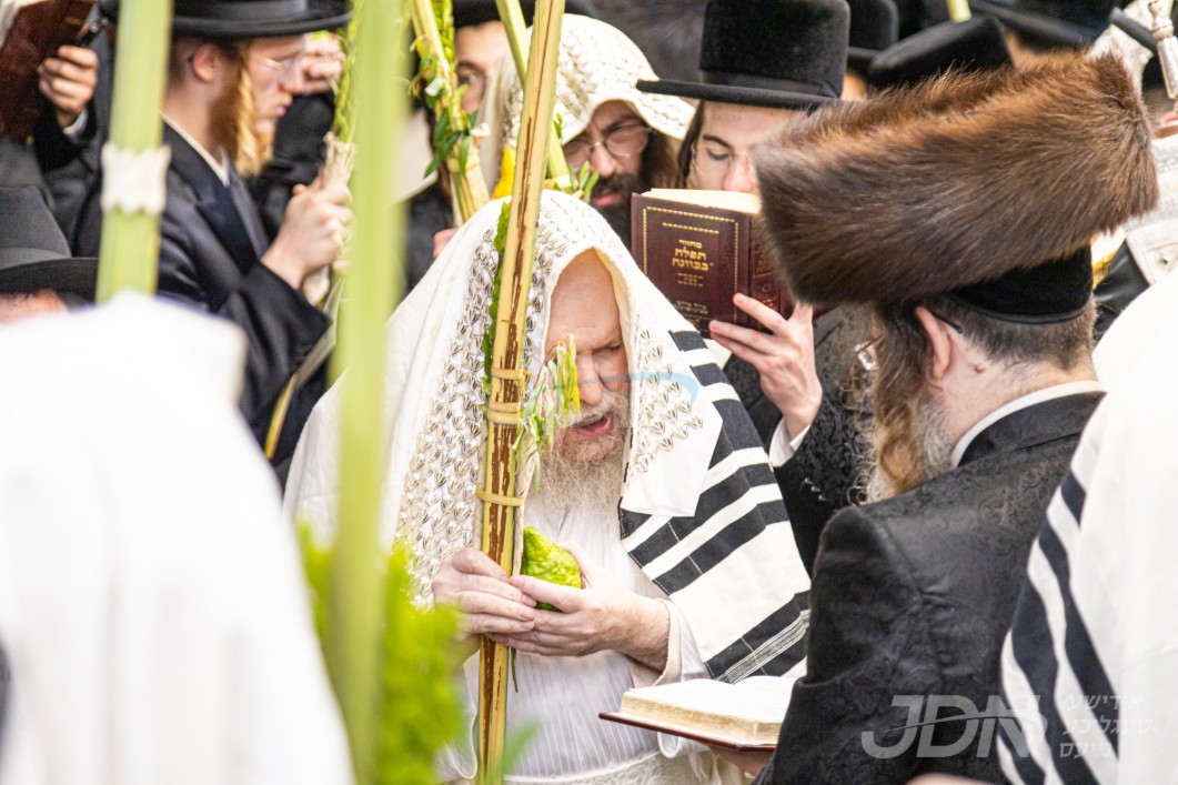 סוכות אין חצר הקודש לעלוב