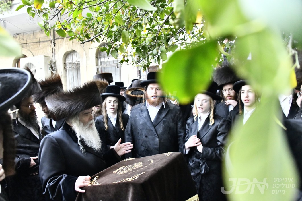 האדמו"ר מקרעטשניף י"ם ביי ברכת אילנות